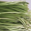 한미농장 | YM 마켓 제철 돌미나리 세척 미나리 로 무침,전 해먹어본후기