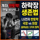 LG전자 주가 반토막 현실 후기, 하락장에서 멘탈 잡는 3가지 원칙