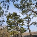 DMZ 평화의 길 7코스 이미지