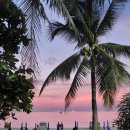 갤러리패밀리호텔 | 아비스타 그란데 푸켓 카론 엠갤러리 패밀리룸 후기｜부티크 감성 숙소와 카론비치 도보 접근성