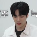 몬즈 이미지
