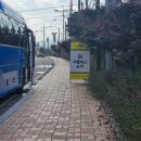 하이미미 | [미미일상] 2025강철런페스타 10km 완주 후기 / 노라조 에픽하이