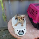 동명동 주민센터 이미지