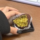 크로스핏베어 | 성공다이어트짐 수원 인계동 헬스 매탄동 권선동 다이어트 크로스핏