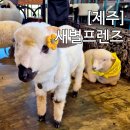 월림농장 | 제주 아이랑 동물 체험 새별프렌즈 동물원 할인 정보