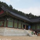 해동불교 이미지