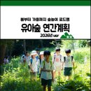 겨울 전래놀이 탐험대 | 유아숲교육 연간계획, 봄부터 가을까지 숲놀이 로드맵 _ 2026년ver
