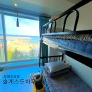 바다솔 | [강원도 커플여행] 양양 솔게스트하우스 바다뷰 도미토리 게하 이용 후기 (체크인장소,체크아웃,준비물)