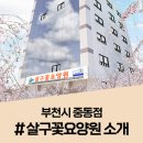 살구꽃요양원 이미지