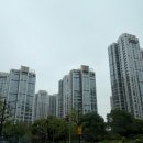 꼬치먹고맴맴 | 🇨🇳 상하이 2일차 : 주가각, 방생교, 상해옛거리, 서커스는 1일차에서의 후회를 잊게 해준 고마운 장소들
