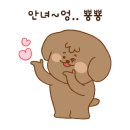 견우애견 이미지
