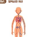 호장근 효능 호장근 먹는 법 이미지