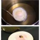 조선의국자