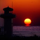 정동진2리 이미지