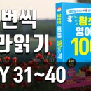 왕초보영어회화 이미지