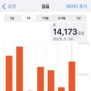 조마농업협동조합 | [삿포로 워홀 ~D+90] 들뜬다