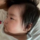 돈마구로 용산점 네이버블로그