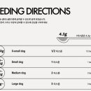 올리브키친코리아 이미지