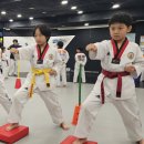 삼호태권도 | 마북동유치부태권도 마북실전태권도장 vs 놀이체육 학원, 5~7세 우리 아이 첫 운동으로 진짜 맞는 건?