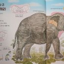 오물오물 이미지
