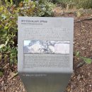 성동1리 마을회관 | 경기옛길 강화길 4길 한남정맥길 약13km