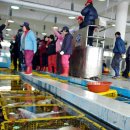 완도회수산 이미지