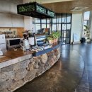 코우코알라 이미지