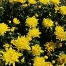 이상욱농장 이미지