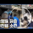 둔기 피습 송영길에 "자작극" "뿅망치 맞고 응급실" 도 넘은 악플 이미지