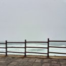 더마니주유소 이미지