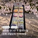 제주곱들락과일모찌