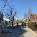 보나바시움-랜디스도넛 연남점