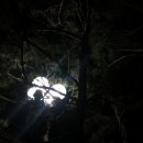 리라이브 이미지