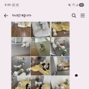 다녀오개습니다 이미지