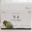 청춘 유기농케일즙으로 간편하게 건강즙 챙기기