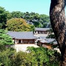 숲속에 우산정원 브런치