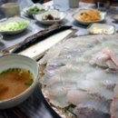 거북이회초밥 네이버블로그
