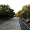 한강둔치길 이미지