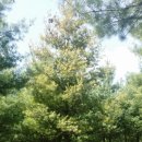 김삿갓면-24 이미지