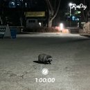 241230-250105 오랜만의 일상