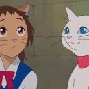 고양이의 보은 이미지