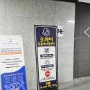 오케이 동물병원 이미지