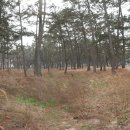 홀통유원지(3) 이미지