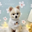 그루멍(groomung) 이미지