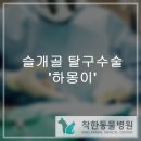 대구착한동물병원 이미지