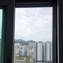 부산 미세방충망 유리창 청소 더레이클린 후기