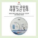 차향 이미지