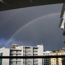 해뜨는댕 이미지