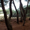 경주 남산(금오산 468m) 이미지