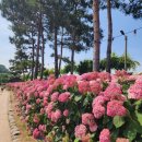 이비엘컴퍼니 이미지